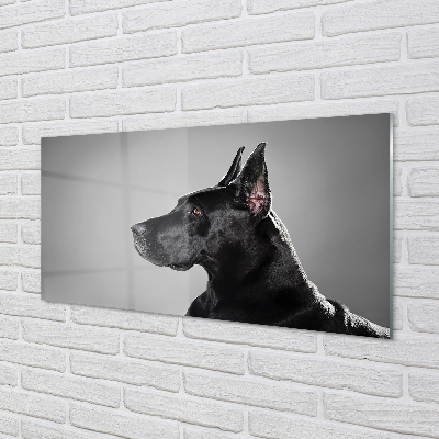 Skleněný panel Černý pes