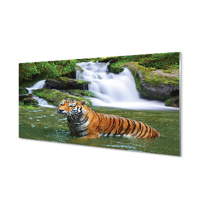 Skleněný panel tygr vodopád