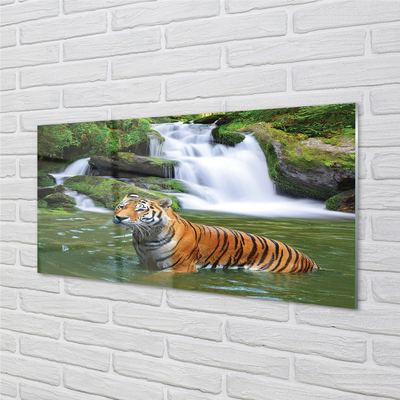 Skleněný panel tygr vodopád