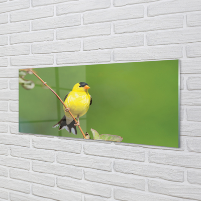 Skleněný panel žlutý papoušek