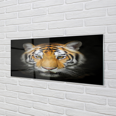 Skleněný panel Tygr