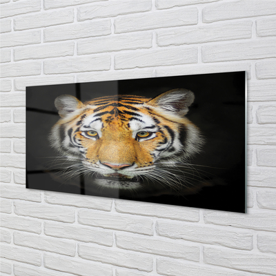 Skleněný panel Tygr