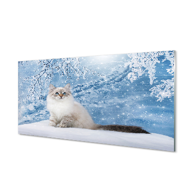 Skleněný panel kočka zima