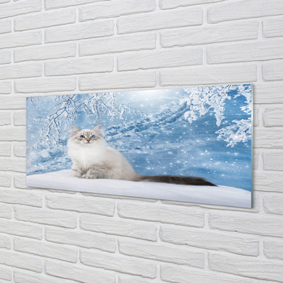 Skleněný panel kočka zima