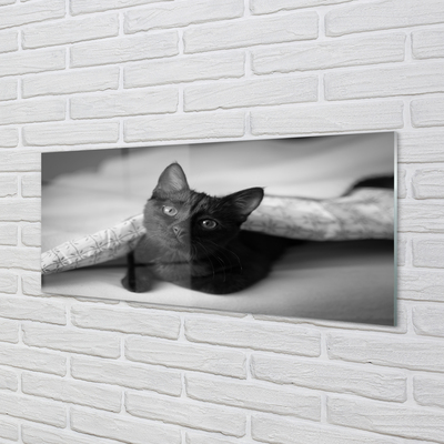 Skleněný panel Kočka pod přikrývkou