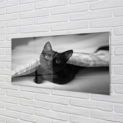 Skleněný panel Kočka pod přikrývkou