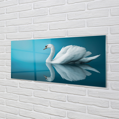 Skleněný panel Swan ve vodě