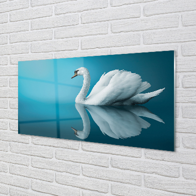 Skleněný panel Swan ve vodě