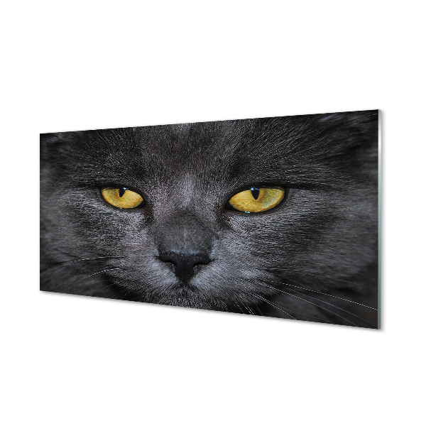 Skleněný panel Černá kočka