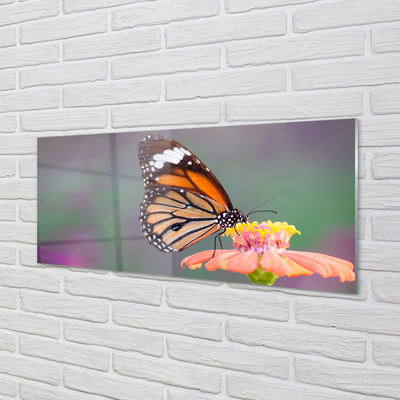 Skleněný panel Barevný motýl květina
