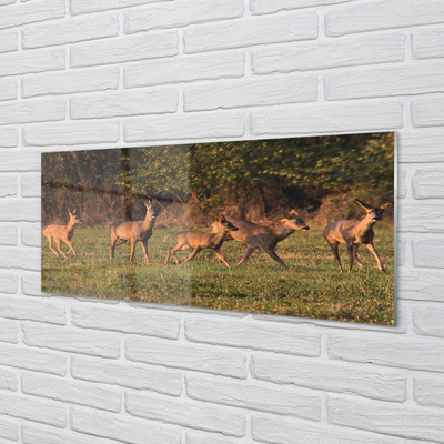 Skleněný panel Deer Golf svítání