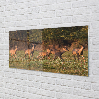 Skleněný panel Deer Golf svítání