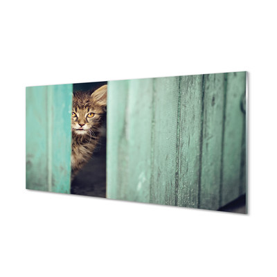 Skleněný panel Zaglądający cat
