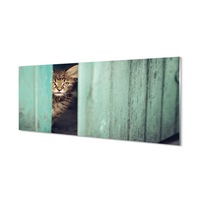 Skleněný panel Zaglądający cat