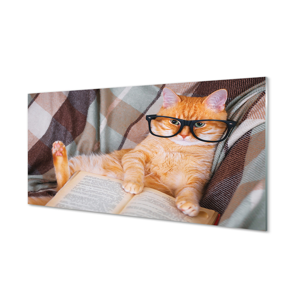 Skleněný panel Čtenář cat