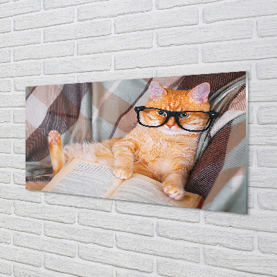 Skleněný panel Čtenář cat