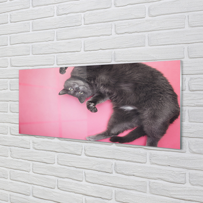 Skleněný panel ležící kočka