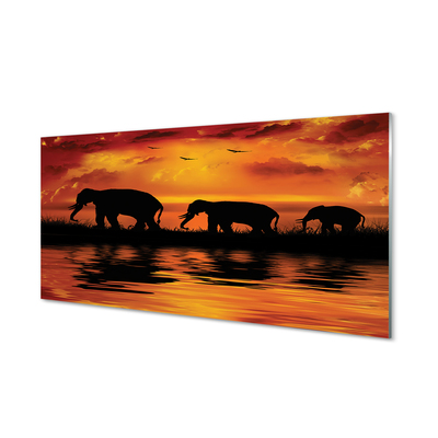 Skleněný panel sloni West Lake