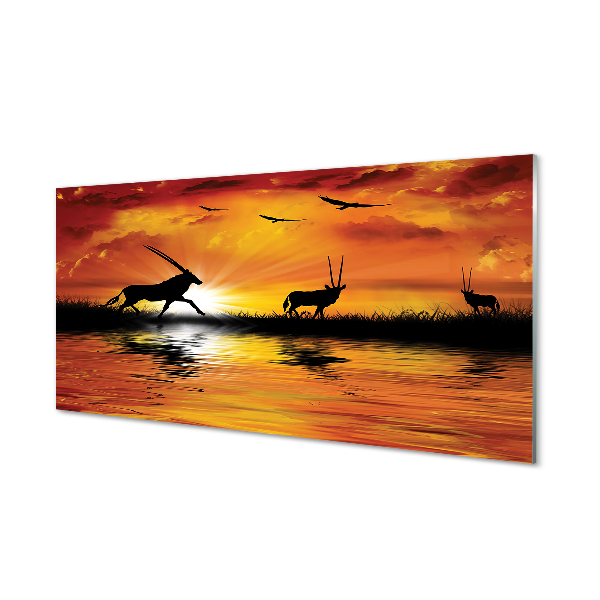 Skleněný panel Ptáci jezero západ