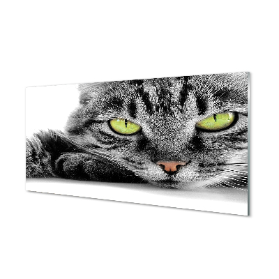 Skleněný panel Šedočerná kočka