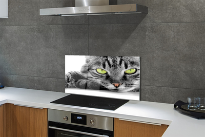 Skleněný panel Šedočerná kočka