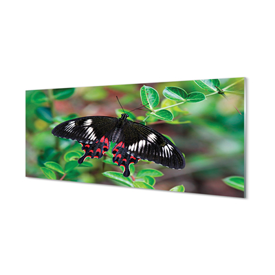 Skleněný panel List barevný motýl