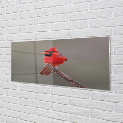 Skleněný panel Red papoušek na větvi