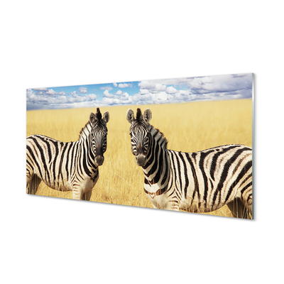 Skleněný panel zebra box