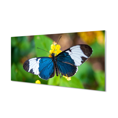 Skleněný panel Barevný motýl na květiny