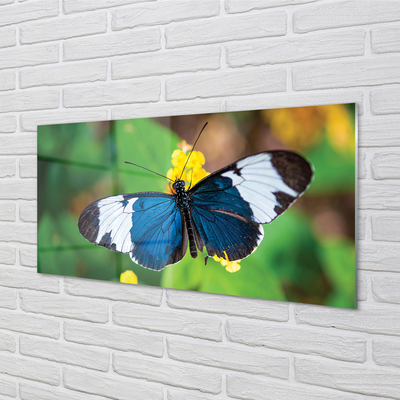Skleněný panel Barevný motýl na květiny