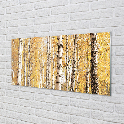 Skleněný panel podzimní stromy