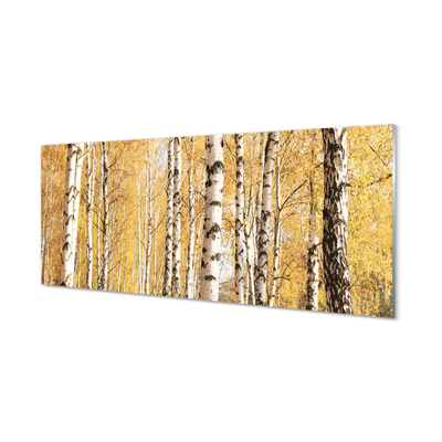 Skleněný panel podzimní stromy