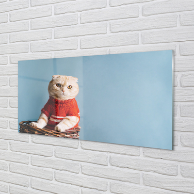 Skleněný panel sedící kočka