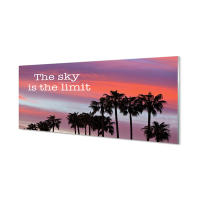 Skleněný panel Palm západu slunce
