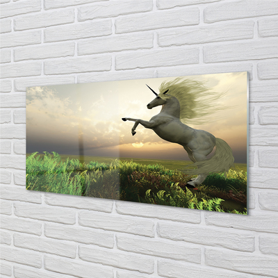 Skleněný panel Unicorn Golf