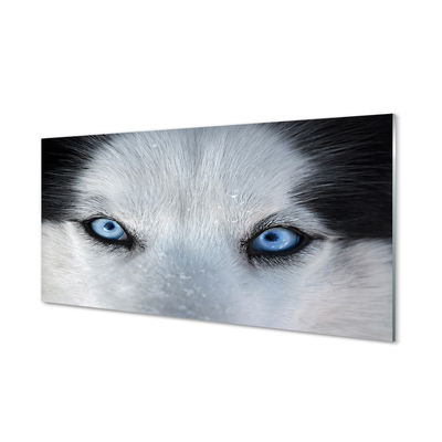 Skleněný panel wolf Eyes