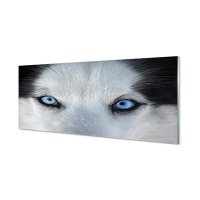 Skleněný panel wolf Eyes