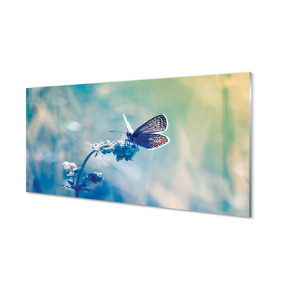 Skleněný panel barevný motýl