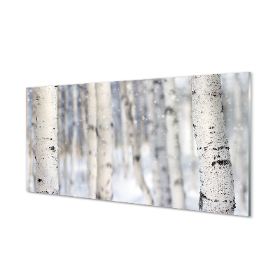 Skleněný panel Stromy v zimě sníh