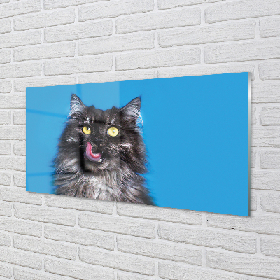 Skleněný panel Oblizujący kočka