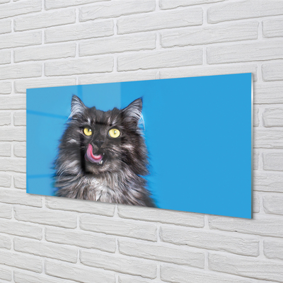 Skleněný panel Oblizujący kočka