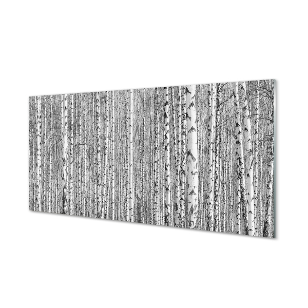 Skleněný panel Černá a bílá strom les