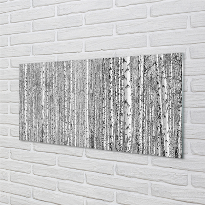 Skleněný panel Černá a bílá strom les