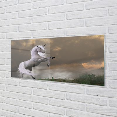 Skleněný panel Unicorn top