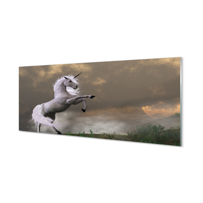 Skleněný panel Unicorn top