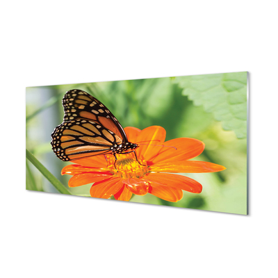 Skleněný panel Květ barevný motýl