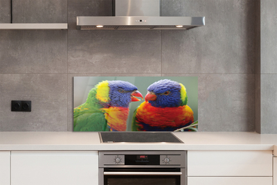 Skleněný panel barevný papoušek