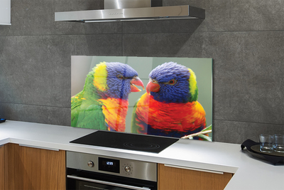 Skleněný panel barevný papoušek
