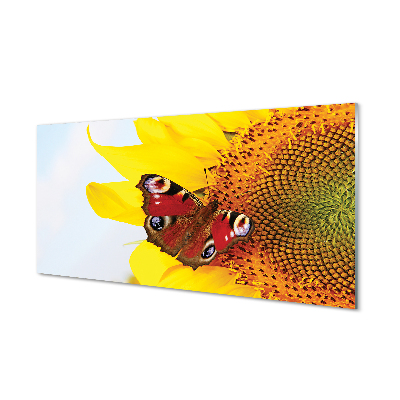 Skleněný panel slunečnice motýl