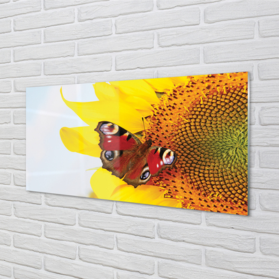 Skleněný panel slunečnice motýl